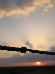 Frayed rope end against soft sunset sky highlighting threads of connection