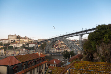 Obraz premium View of the Dom Luís I Bridge and the historic riverside buildings of Porto during a clear sunset sky, with a bird flying above the city.