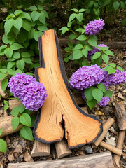 Fire wood from lilac