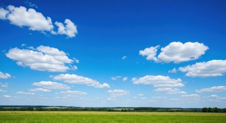 Panoramic view of a vast, grassy field under a vibrant blue sky dotted with fluffy white clouds