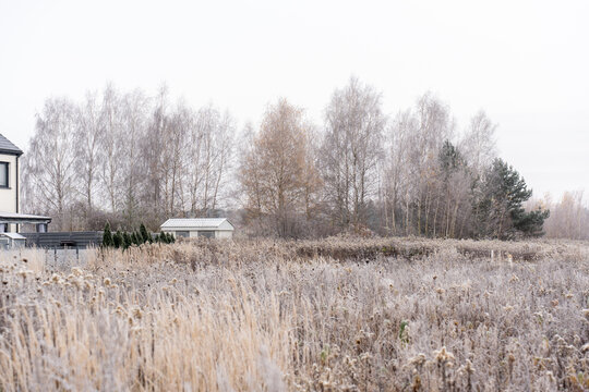 Winter rural landscape with frost-covered meadow, bare birch trees and suburban houses under overcast sky on cold foggy morning. Concept of countryside living, seasonal change, peaceful village life. - Powered by Adobe