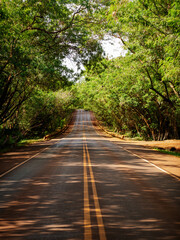 Tunel verde Santa Rita Paraguay