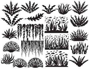 Seaweed and Marine Plant Silhouettes on White Background Vector Fully Editable Smart Object Text Effect