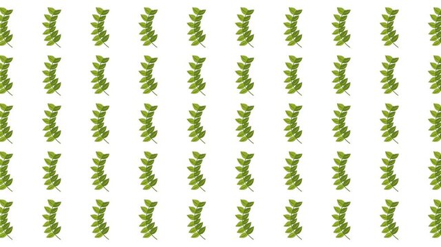 Repeating pattern of green spiraling seaweed strands on white for marinethemed designs, backgrounds, textiles, and natural product packaging.