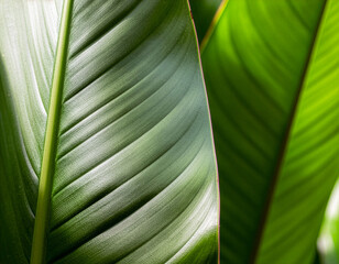 green leaf texture