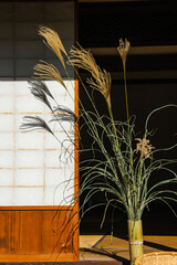 縁側のすすき