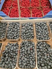 Fresh blueberries and raspberries in plastic containers at a market. The vibrant colors of the fruits attract attention, showcasing healthy food options.