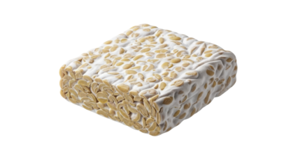 Block of Fermented Soybean Cake, Healthy Protein Source for Vegetarian Meal Isolated on White Background