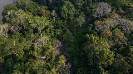 Fototapeta premium Drone view of the Madre de Dios River, a wide tropical waterway flowing through the Peruvian Amazon, surrounded by dense rainforest and natural wildlife habitat