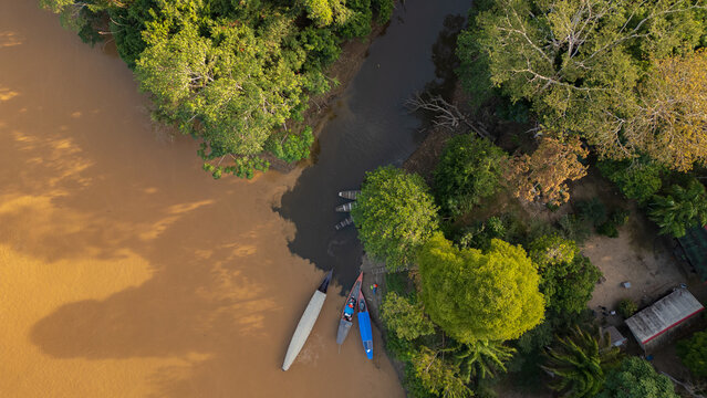 Drone view of the Madre de Dios River, a wide tropical waterway flowing through the Peruvian Amazon, surrounded by dense rainforest and natural wildlife habitat