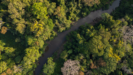 Drone view of the Madre de Dios River, a wide tropical waterway flowing through the Peruvian Amazon, surrounded by dense rainforest and natural wildlife habitat