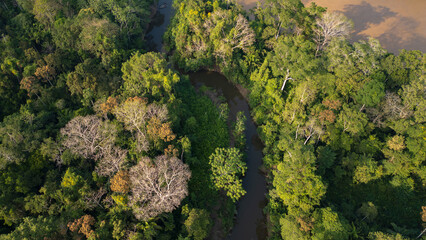 Drone view of the Madre de Dios River, a wide tropical waterway flowing through the Peruvian Amazon, surrounded by dense rainforest and natural wildlife habitat