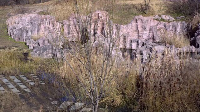 The rock has many curved chisel marks, and the surrounding reeds and weeds grow wildly, swaying in the wind, creating a stark contrast with the rock.