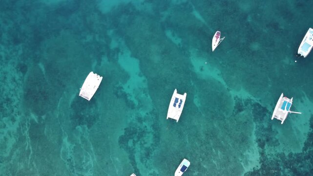 Aerial view of the Emerald Sea of ​​Bayahive, Dominican Republic