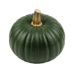 Dark Green Pumpkin with Ribbed Texture and Natural Stem