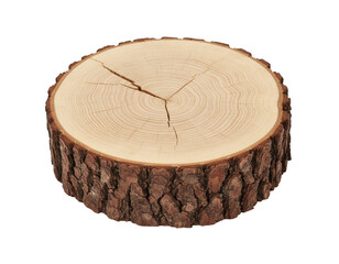 Natural Wood Tree Slice Round Rustic Log Cut Decor