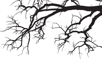 Fototapeta premium Bare tree branches silhouette in autumn winter season with dark tone nature scene