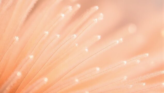 A close-up view of delicate coral polyps with shimmering light reflections in a clear ocean environment