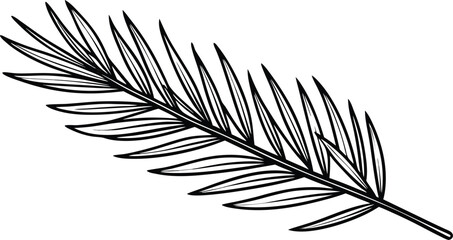 Fototapeta premium Hand drawn illustration of a delicate palm frond in black and white