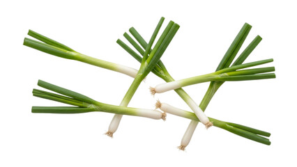 Freshly harvested scallions, a culinary essential with vibrant green tops and pristine white bulbs arranged artistically against a seamless background