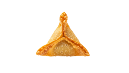 Crisp golden fried wonton, an inviting appetizer with a delightful presentation against a stark white backdrop capturing the texture and delicious