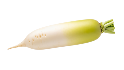 Isolated daikon radish showcasing its smooth transition from white to light green texture and the vibrant leafy top against a clear background