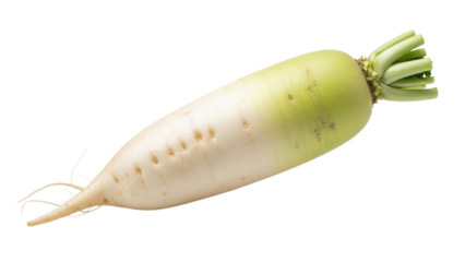 Fresh and crisp daikon radish displaying its natural white and green gradients against a clean backdrop