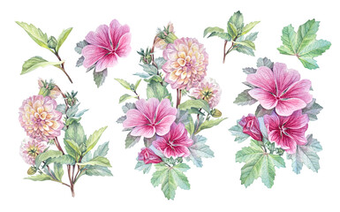 Watercolor set with pink bouquet flower Dahlia and pink Malva isolated on white background. Hand-drawn summer floral plant for decor. Clipart for wedding celebration card. Wallpaper or wrapping