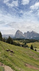 Seiser Alm, Dolomites, Dolomiti, Italy, Italian Alps, Northern Italy, Hiking, Alpe di Siusi
