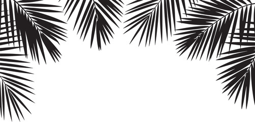 Tropical palm leaves border silhouette vector – black fern leaf frame with space for text, summer nature botanical background design © Rojob