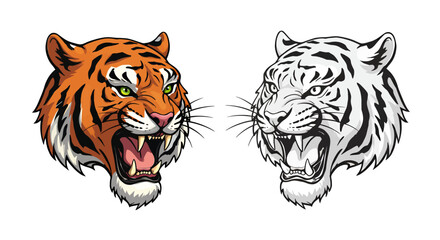Fototapeta premium A fierce illustration of a roaring tiger head in vector format, showcasing its power and intensity, available in both orange and white color variations.