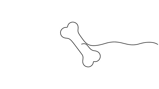 Continuous one drawing dog bone animation. Full length single line 4k animation