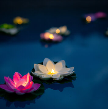 Illuminated lotus flower decorations for a swimming pool. 
