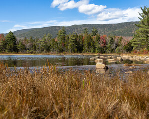 Pond in the Mountains