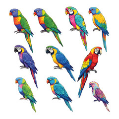 Set of 10 Colorful Exotic Parrots and Macaws - Detailed Tropical Bird Vector Illustration