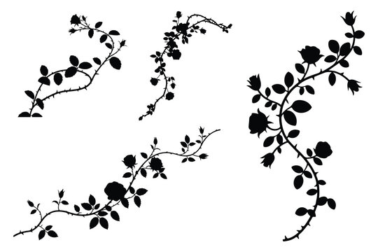 Black rose branches with thorns and leaves silhouettes