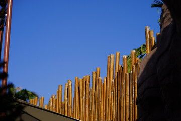 Bamboo Sticks against a Clear Blue Sky with Green Leaves in a Relaxing Outdoor Setting for Nature and Architecture Enthusiasts
