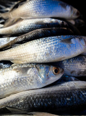 Close up of fresh raw whole grey mullets with silver scales on market display,