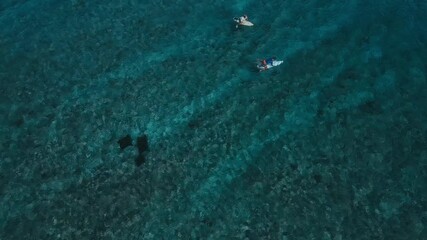 Aerial view three surfers paddling indian ocean over transparent turquoise water and mantas family