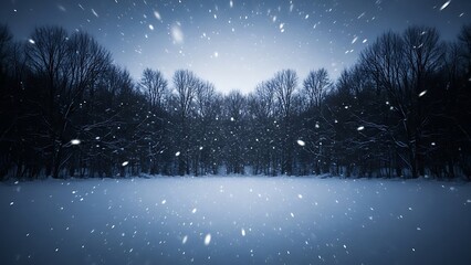 Snow falling in a dark forest with bare trees and icy ground winter