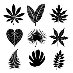 Fototapeta premium Set of nine different leaf shapes in black and white