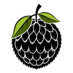 abiu silhouette vector illustration on white background