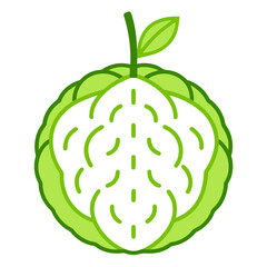 osage orange line art vector on white background