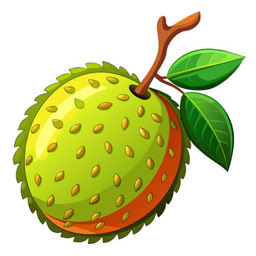 abiu vector illustration