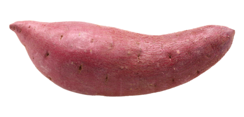 Sweet potato isolated, transparent PNG, PNG format, single.