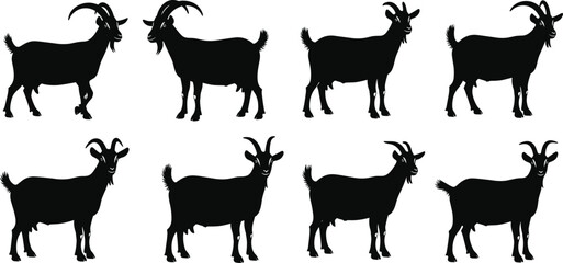 Goat silhouette vector set, eight profiles, horn shapes and body postures, flat animal illustration for design or education
