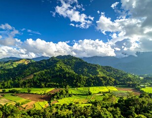 Obraz premium Aerial view of vibrant green hills, agricultural fields, and a stunning blue sky with fluffy clouds