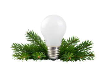 Frosted LED bulb nestled in fresh evergreen pine branches, isolated on a transparent background