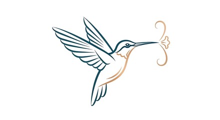 Obraz premium Elegant Hummingbird with Ornate Swirl Minimalist Line Art.