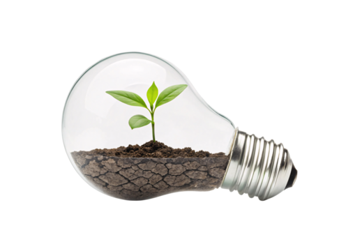 Fresh sprouting plant thriving within transparent lightbulb terrarium showing growth and innovation concept, isolated on a transparent background